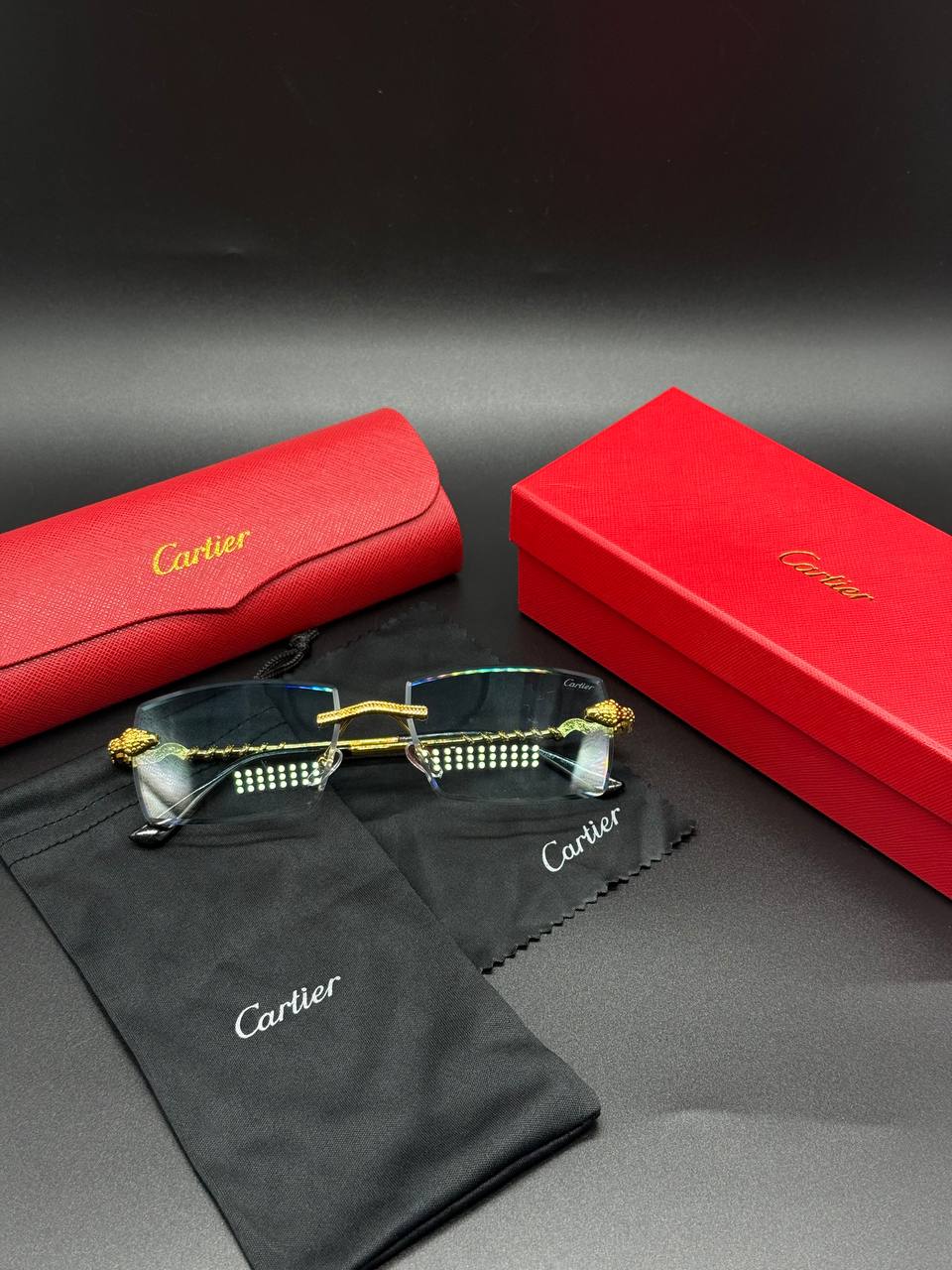 Cartier snake lens sunglasses