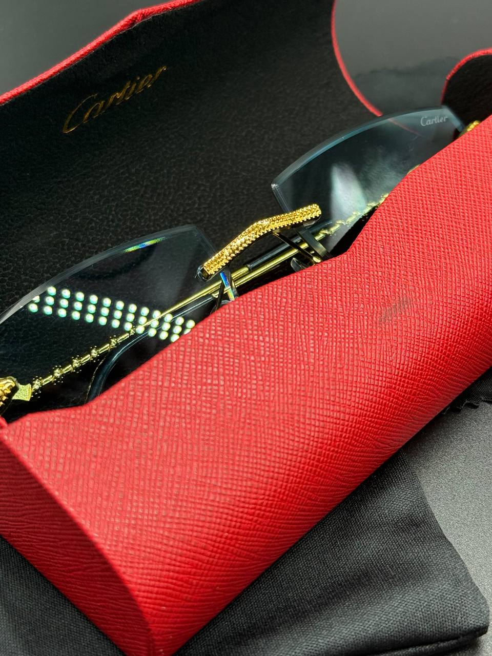 Cartier snake lens sunglasses